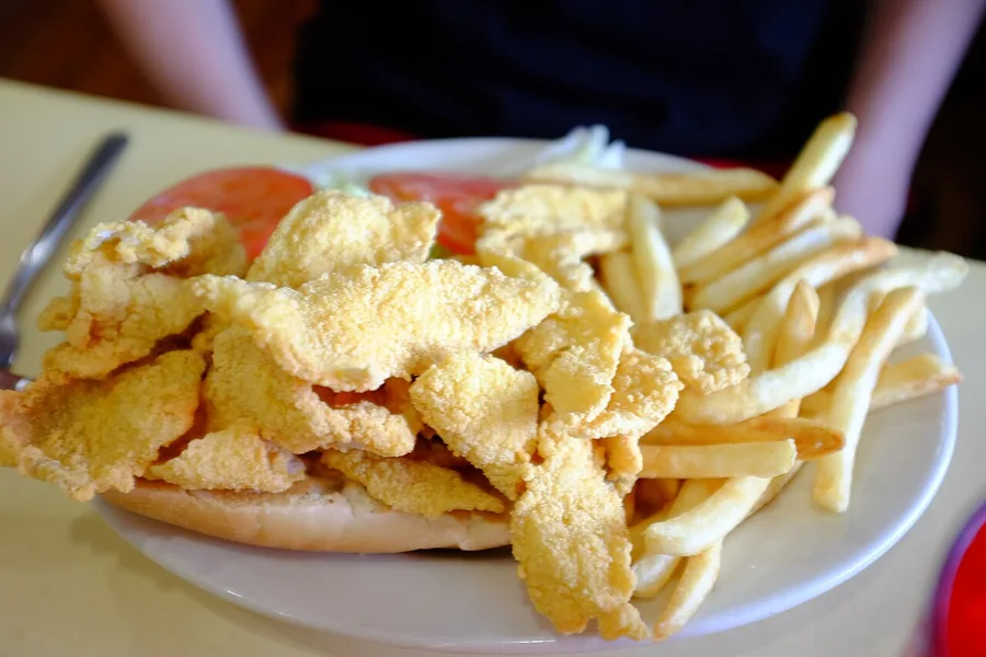 Fried catfish with fries — representative food photograph